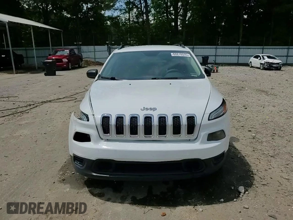 2016 Jeep Cherokee Sport with VIN 1C4PJLAB3GW171698, listed as a Copart auction lot 60810535 with 201,831 mi miles and Salvage title. Bid and sale history available at DreamBid. Image 14.