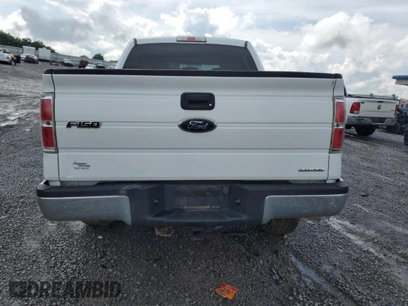 2013 Ford F-150 XL with VIN 1FTFW1EF7DKE89244, listed as a Copart auction lot 61155845 with 158,207 mi miles and Salvage title. Bid and sale history available at DreamBid. Image 6.