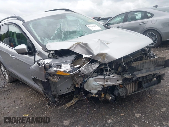2017 Ford Escape SE with VIN 1FMCU0G97HUA46463, listed as a IAAI auction lot 41989263 with 130,168 mi miles and . Bid and sale history available at DreamBid. Image 6.