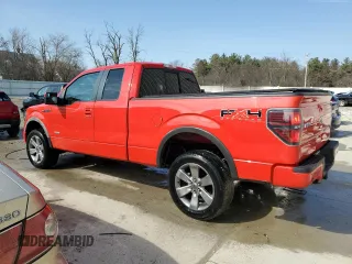 2011 Ford F-150 XL with VIN 1FTFX1ET5BFB10346, listed as a Copart auction lot 52493765 with 123,176 mi miles and Clean title. Bid and sale history available at DreamBid. Image 2.