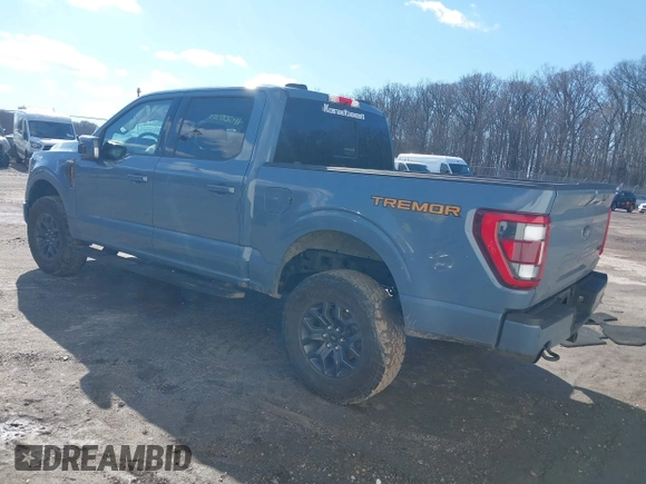 2023 Ford F-150 XL with VIN 1FTEW1E81PFA49918, listed as a IAAI auction lot 41560333 with 32,172 mi miles. Bid and sale history available at carsss.com. Image 3.