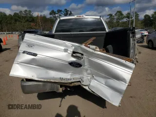 2009 Ford F-150 XL with VIN 1FTPX14V49KC15906, listed as a Copart auction lot 83624494 with 264,979 mi miles and Salvage Title. Bid and sale history available at carsss.com. Image 6.