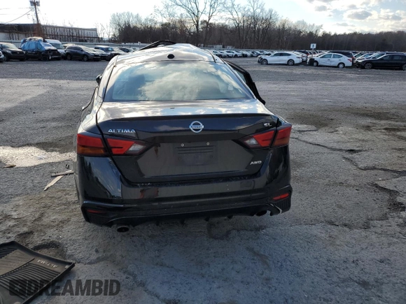 2019 Nissan Altima SL with VIN 1N4BL4EW3KC134917, listed as a Copart auction lot 79502064 with Not Provided miles and Non Repairable. Bid and sale history available at DreamBid. Image 6.