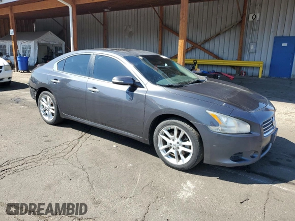 2010 Nissan Maxima SV with VIN 1N4AA5AP1AC871408, listed as a Copart auction lot 50430555 with 191,086 mi miles and Salvage title. Bid and sale history available at DreamBid. Image 4.