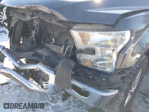 2016 Ford F-150 XL with VIN 1FTEX1CP9GFB02193, listed as a IAAI auction lot 41623702 with 155,069 mi miles and . Bid and sale history available at carsss.com. Image 19.