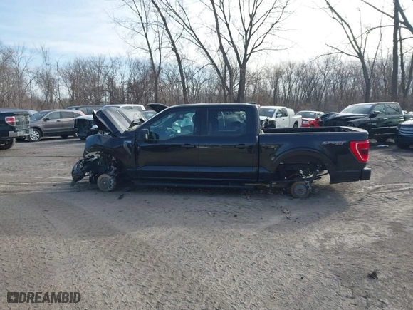 2023 Ford F-150 XL with VIN 1FTEW1EP3PKD48647, listed as a IAAI auction lot 40584659 with 50,841 mi miles. Bid and sale history available at carsss.com. Image 14.