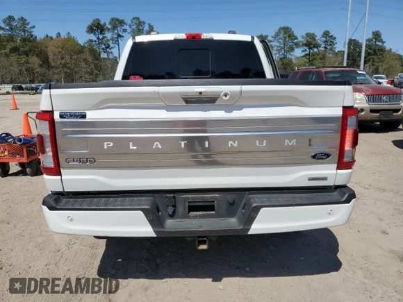 2022 Ford F-150 XL with VIN 1FTFW1E8XNFA60918, listed as a Copart auction lot 49954125 with 84,079 mi miles and Salvage Title. Bid and sale history available at DreamBid. Image 6.