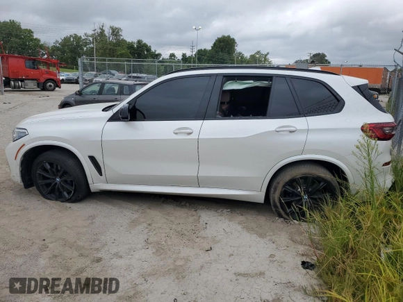 2020 BMW X5 M50i with VIN 5UXJU4C00LLE46181, listed as a Copart auction lot 66190794 with Not Provided miles and Salvage Title. Bid and sale history available at DreamBid. Image 2.