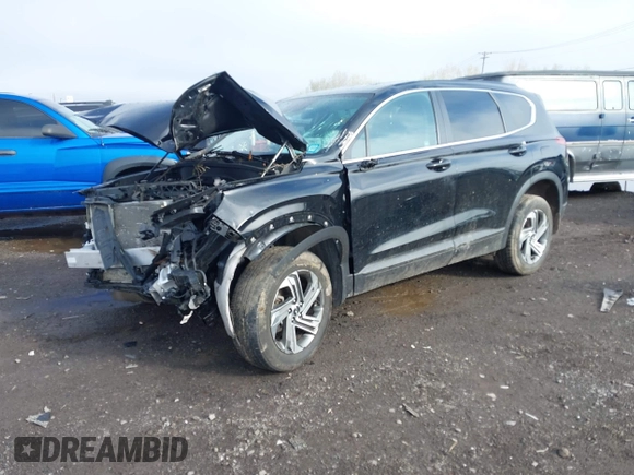 2021 Hyundai Santa Fe SE с VIN 5NMS1DAJ8MH344041, выставлен на аукционе IAAI как лот 42195875 с пробегом 39 071 миль миль и . История ставок и продаж доступна на DreamBid. Изображение 2.
