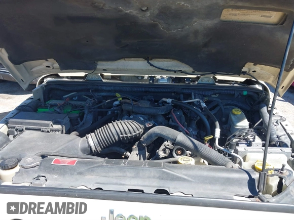 2011 Jeep Wrangler Sahara with VIN 1J4AA5D13BL562732, listed as a IAAI auction lot 41838520 with 148,359 mi miles and . Bid and sale history available at DreamBid. Image 10.