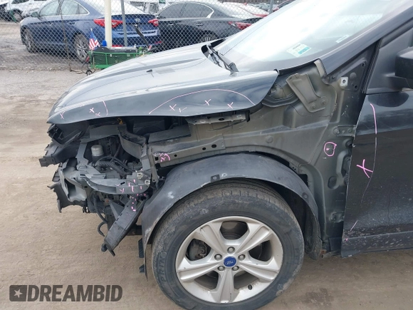 2013 Ford Escape SE with VIN 1FMCU9G95DUA03948, listed as a IAAI auction lot 41666358 with 233,187 mi miles. Bid and sale history available at carsss.com. Image 12.