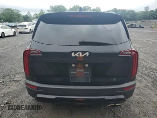 2022 Kia Telluride EX with VIN 5XYP3DHC5NG207139, listed as a Copart auction lot 60104755 with 101,632 mi miles and Salvage title. Bid and sale history available at DreamBid. Image 6.