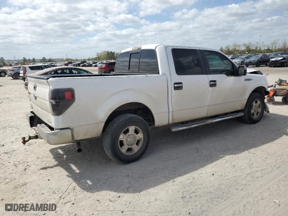 2013 Ford F-150 XL with VIN 1FTEW1CM0DKE02037, listed as a Copart auction lot 49482885 with 419,465 mi miles and Salvage Title. Bid and sale history available at carsss.com. Image 3.
