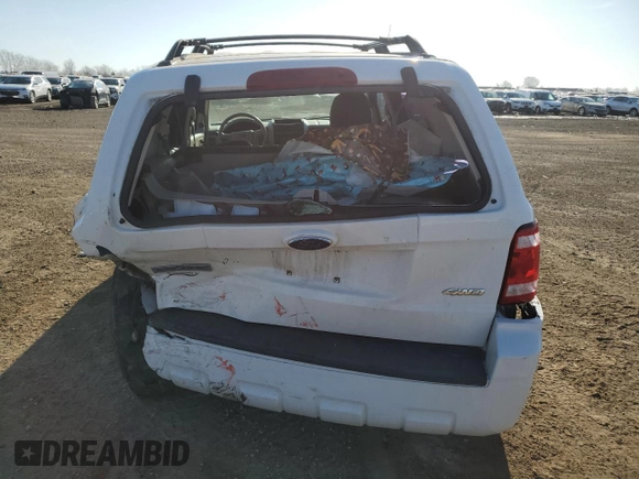 2009 Ford Escape XLS with VIN 1FMCU92729KD10213, listed as a Copart auction lot 48704425 with 114,219 mi miles and Salvage title. Bid and sale history available at DreamBid. Image 6.