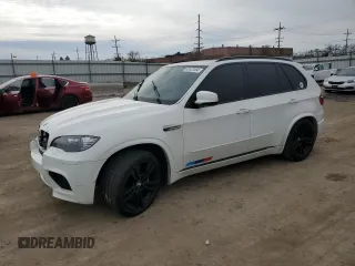 2010 BMW X5 M with VIN 5YMGY0C55ALK25665, listed as a Copart auction lot 82820384 with 118,956 mi miles and Salvage Title. Bid and sale history available at carsss.com. Image 1.