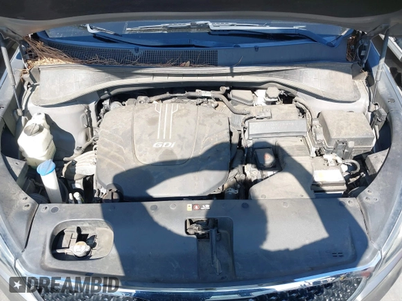 2017 Kia Sorento EX V6 with VIN 5XYPH4A57HG236014, listed as a IAAI auction lot 41602897 with 103,210 mi miles. Bid and sale history available at carsss.com. Image 10.