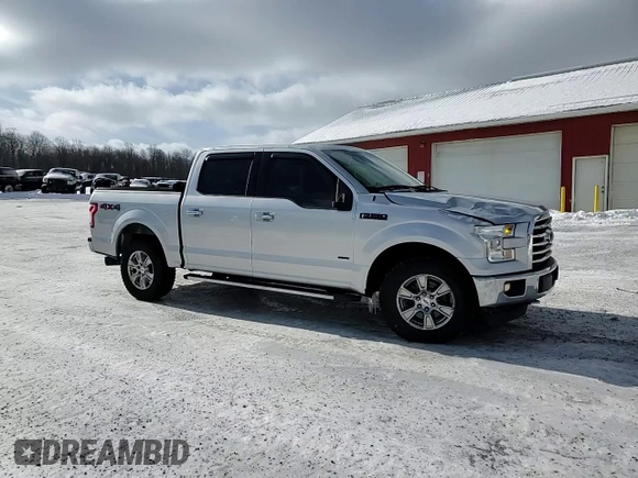 2017 Ford F-150 XL with VIN 1FTEW1EP1HFA55842, listed as a Copart auction lot 45715775 with 141,732 mi miles and Salvage Title. Bid and sale history available at carsss.com. Image 10.