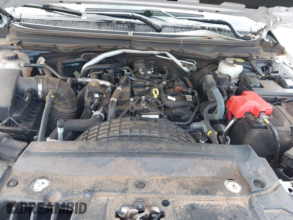 2023 Ford Ranger XL with VIN 1FTER4FH7PLE11596, listed as a IAAI auction lot 41280057 with Not provided miles and . Bid and sale history available at DreamBid. Image 10.