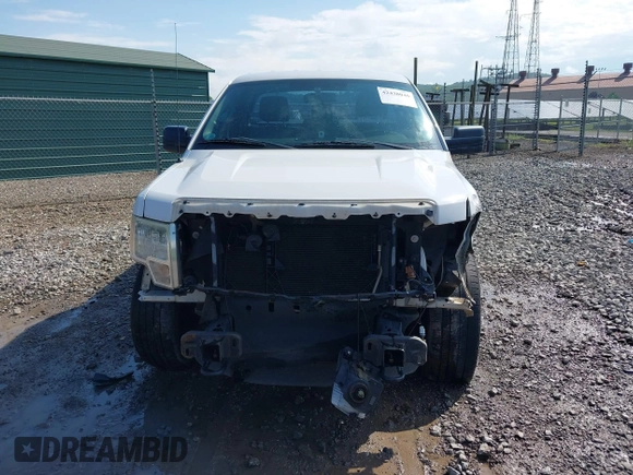 2014 Ford F-150 XL с VIN 1FTMF1EM5EFC18599, выставлен на аукционе IAAI как лот 42438040 с пробегом 193 033 миль миль и . История ставок и продаж доступна на DreamBid. Изображение 13.