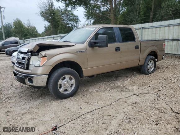 2013 Ford F-150 XL with VIN 1FTEW1CM4DKD11109, listed as a Copart auction lot 74520244 with 194,773 mi miles and Salvage Title. Bid and sale history available at carsss.com. Image 1.