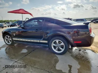 2006 Ford Mustang Standard with VIN 1ZVFT80NX65256683, listed as a Copart auction lot 58596755 with 276,268 mi miles and Salvage title. Bid and sale history available at DreamBid. Image 2.