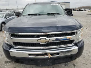 2011 Chevrolet Silverado 1500 Work Truck with VIN 1GCRCPEX7BZ182789, listed as a Copart auction lot 50601005 with 173,159 mi miles and Non Repairable. Bid and sale history available at DreamBid. Image 5.