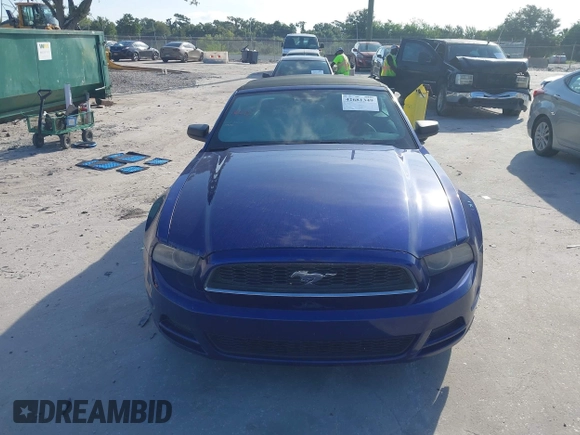 2014 Ford Mustang V6 с VIN 1ZVBP8EMXE5232157, выставлен на аукционе IAAI как лот 42681349 с пробегом 158 472 миль миль и . История ставок и продаж доступна на DreamBid. Изображение 13.