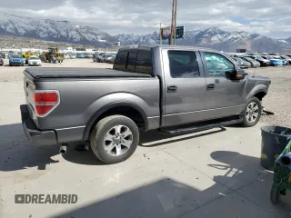 2012 Ford F-150 XL with VIN 1FTEW1CMXCFC00538, listed as a Copart auction lot 48563865 with 0 mi miles and Salvage Title. Bid and sale history available at carsss.com. Image 3.
