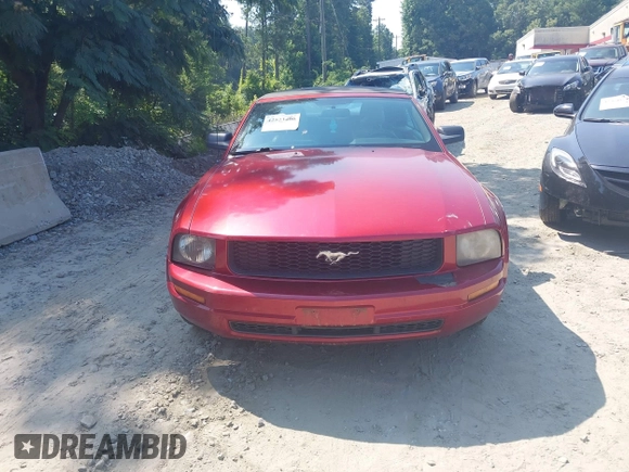2006 Ford Mustang Standard with VIN 1ZVFT84N865222011, listed as a IAAI auction lot 42523400 with 234,756 mi miles and . Bid and sale history available at DreamBid. Image 12.