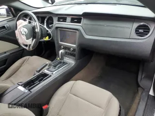 2013 Ford Mustang V6 with VIN 1ZVBP8AM4D5262212, listed as a Copart auction lot 51121685 with Not Provided miles and Salvage Title. Bid and sale history available at carsss.com. Image 8.