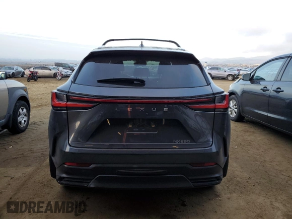 2024 Lexus NX 250 z VIN 2T2ADCAZ8RC008577, wystawiony jako Copart lot #85818244 z przebiegiem 49 324 mil mil oraz Szkoda całkowita • Salvage title. Historia ofert i sprzedaży dostępna na DreamBid. Obrazek 6.
