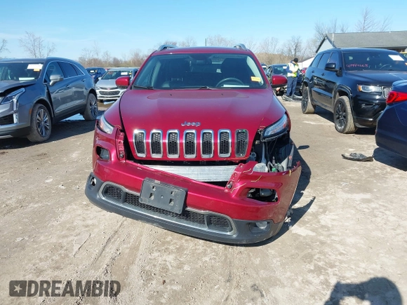 2015 Jeep Cherokee Limited with VIN 1C4PJMDS1FW646135, listed as a IAAI auction lot 41991811 with 123,229 mi miles. Bid and sale history available at carsss.com. Image 12.