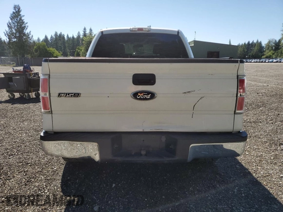 2010 Ford F-150 XL with VIN 1FTEW1E8XAFB89795, listed as a Copart auction lot 62423115 with 402,162 mi miles and Salvage title. Bid and sale history available at DreamBid. Image 6.