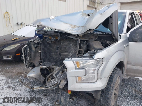 2017 Ford F-150 XL with VIN 1FTEX1EP3HFC28046, listed as a IAAI auction lot 41291572 with 149,668 mi miles. Bid and sale history available at carsss.com. Image 6.