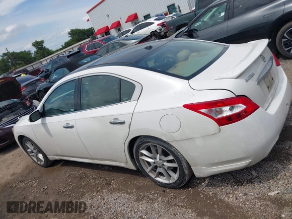 2010 Nissan Maxima SV with VIN 1N4AA5AP1AC866077, listed as a IAAI auction lot 42392347 with 110,751 mi miles and . Bid and sale history available at DreamBid. Image 14.
