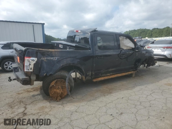 2016 Ford F-150 XLT with VIN 1FTEW1EP8GFD53528, listed as a Copart auction lot 59162755 with Not provided miles and Salvage title. Bid and sale history available at DreamBid. Image 3.