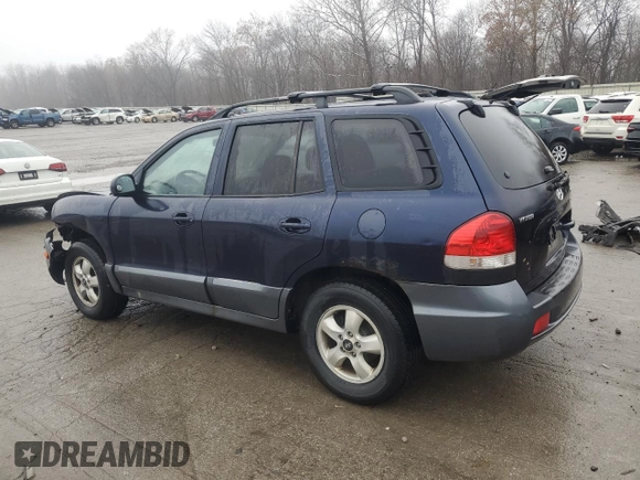 2005 Hyundai Santa Fe GLS with VIN KM8SC73D85U890802, listed as a Copart auction lot 80218154 with 230,793 mi miles and Salvage Title. Bid and sale history available at carsss.com. Image 2.