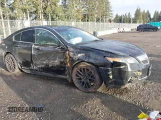 2013 Acura TL Technology z VIN 19UUA9F53DA005037, wystawiony jako IAAI lot #41799338 z przebiegiem 152 271 mil mil oraz . Historia ofert i sprzedaży dostępna na DreamBid. Obrazek 1.