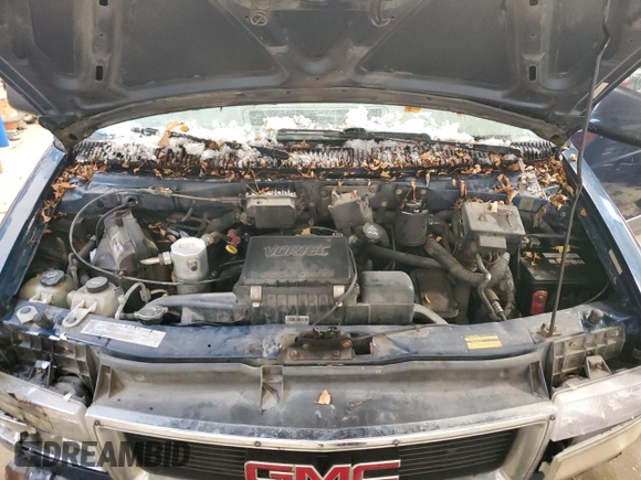 2005 GMC Safari z VIN 1GKEL19X85B502046, wystawiony jako Copart lot #85853484 z przebiegiem 247 503 mil mil oraz Szkoda całkowita • Salvage title. Historia ofert i sprzedaży dostępna na DreamBid. Obrazek 12.