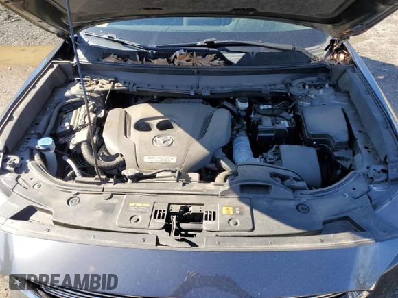 2018 Mazda CX-9 Touring with VIN JM3TCBCY6J0234167, listed as a Copart auction lot 49657705 with 46,038 mi miles and Salvage Title. Bid and sale history available at carsss.com. Image 12.