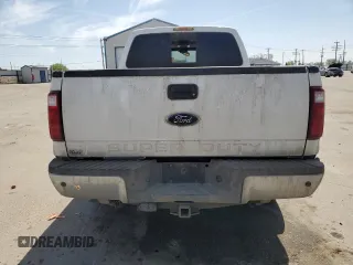2009 Ford F-250 XL with VIN 1FTSW21R49EA86753, listed as a Copart auction lot 53250065 with 137,557 mi miles and Salvage title. Bid and sale history available at DreamBid. Image 6.