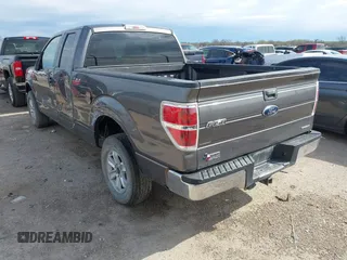 2013 Ford F-150 XL with VIN 1FTEX1CM8DFD67446, listed as a IAAI auction lot 41891784 with 159,909 mi miles and . Bid and sale history available at DreamBid. Image 3.