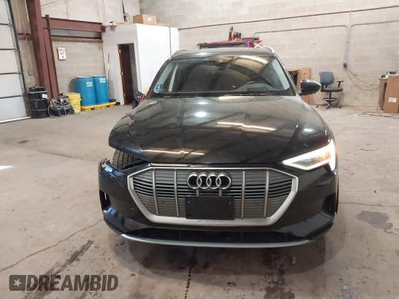 2019 Audi e-tron Prestige with VIN WA1VABGE1KB008769, listed as a IAAI auction lot 41412414 with 41,072 mi miles and . Bid and sale history available at DreamBid. Image 12.
