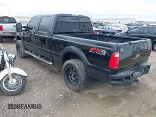 2010 Ford Super Duty F-250 SRW XL with VIN 1FTSW2BR2AEB07232, listed as a IAAI auction lot 41948951 with 124,116 mi miles. Bid and sale history available at carsss.com. Image 3.
