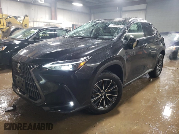 2022 Lexus NX with VIN 2T2ADCAZ4NC002205, listed as a Copart auction lot 44891975 with 19,509 mi miles and Salvage Title. Bid and sale history available at carsss.com. Image 1.