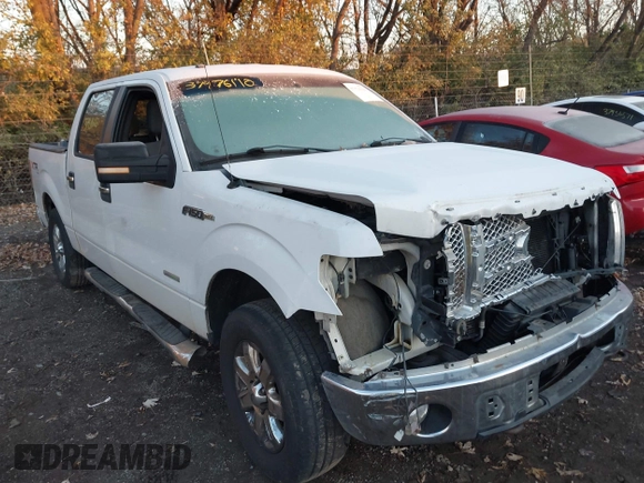 2013 Ford F-150 XL with VIN 1FTFW1ET8DFB46800, listed as a IAAI auction lot 37976110 with 152,173 mi miles. Bid and sale history available at carsss.com. Image 6.