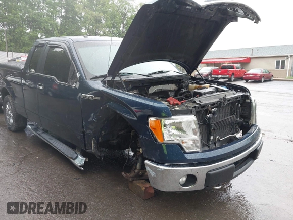 2013 Ford F-150 XL with VIN 1FTFX1EFXDFB89719, listed as a IAAI auction lot 42310707 with 142,977 mi miles and . Bid and sale history available at DreamBid. Image 6.