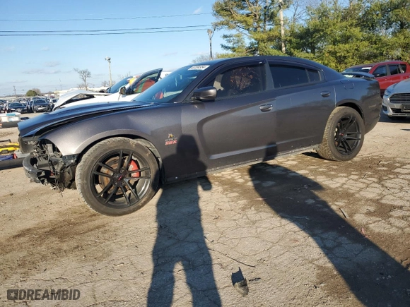 2014 Dodge Charger RT Plus with VIN 2C3CDXCT5EH339036, listed as a Copart auction lot 87204954 with 172,064 mi miles and Salvage Title. Bid and sale history available at carsss.com. Image 1.