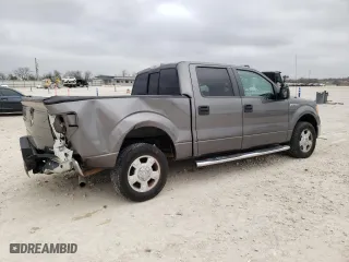 2013 Ford F-150 XL with VIN 1FTEW1CM5DFC29074, listed as a Copart auction lot 48265805 with 171,912 mi miles and Salvage Title. Bid and sale history available at carsss.com. Image 3.