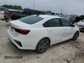 2019 Kia Forte S with VIN 3KPF34AD2KE015622, listed as a Copart auction lot 51613065 with 59,025 mi miles and Salvage Title. Bid and sale history available at carsss.com. Image 3.